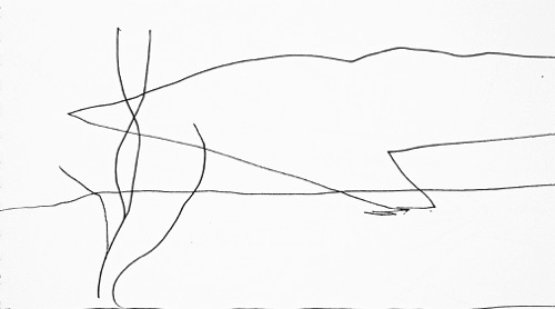 Halema'uma'u Crater and Ohia Tree Drawing, 4 3/8" x 7 5/8", ink on paper, 2012.